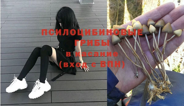 круглые Карпинск