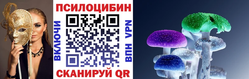 Галлюциногенные грибы Psilocybine cubensis  Купить где  Баксан 